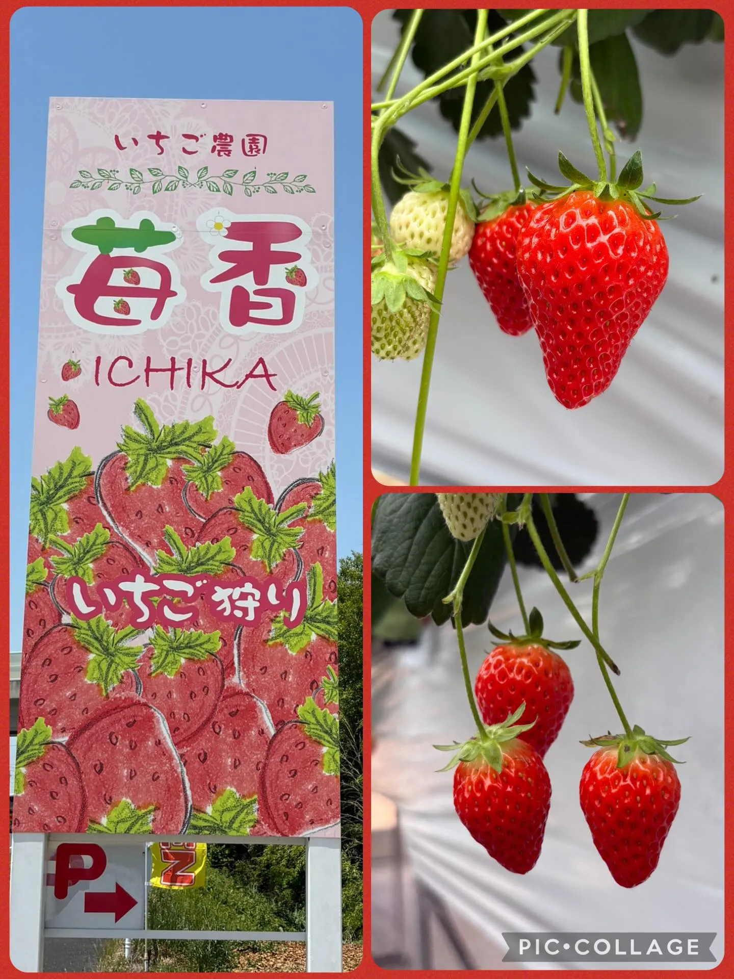 はんばぁぐ　そう‼️